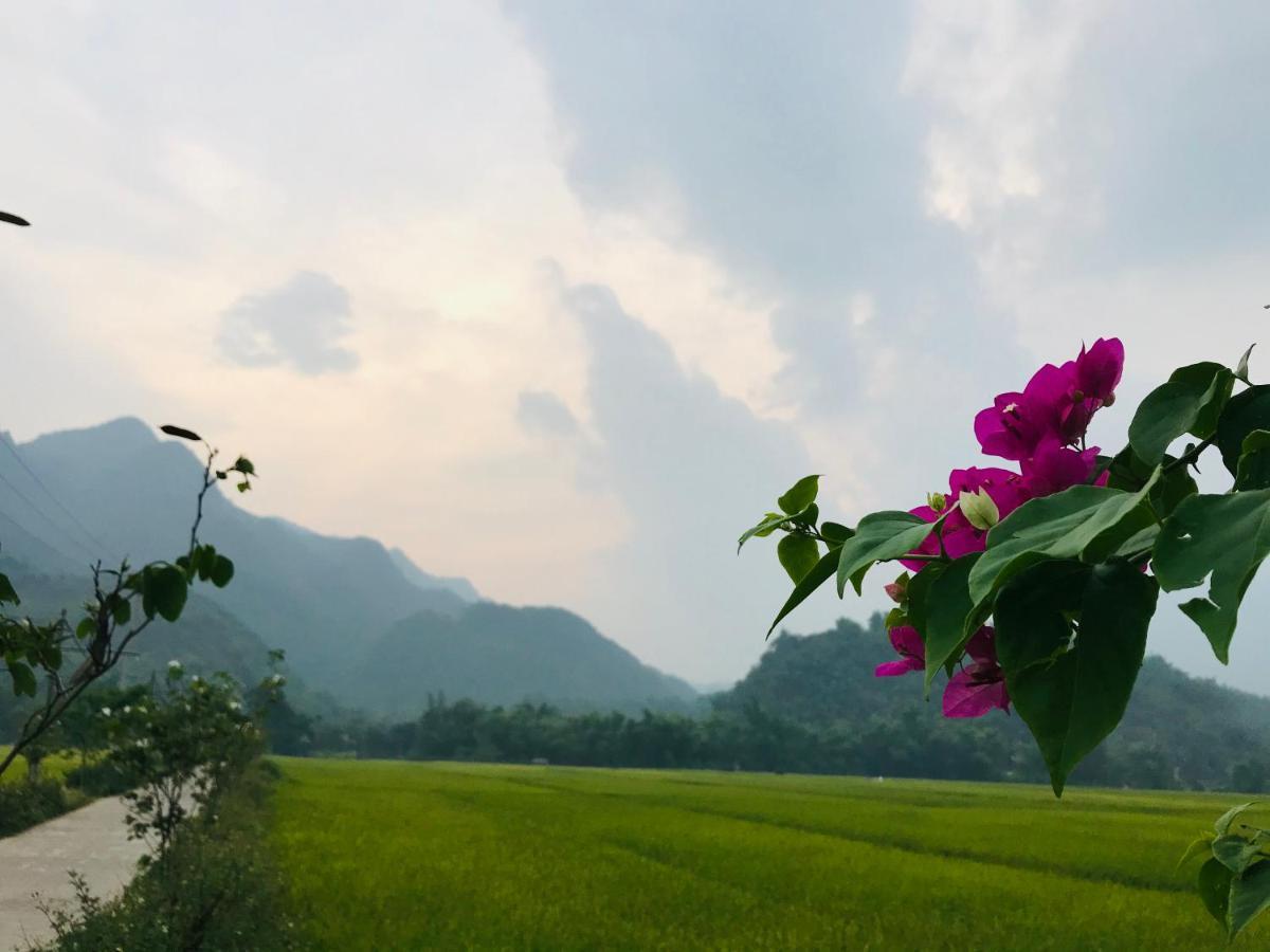 Jomo House Mai Chau Hotel Hòa Bình Екстериор снимка