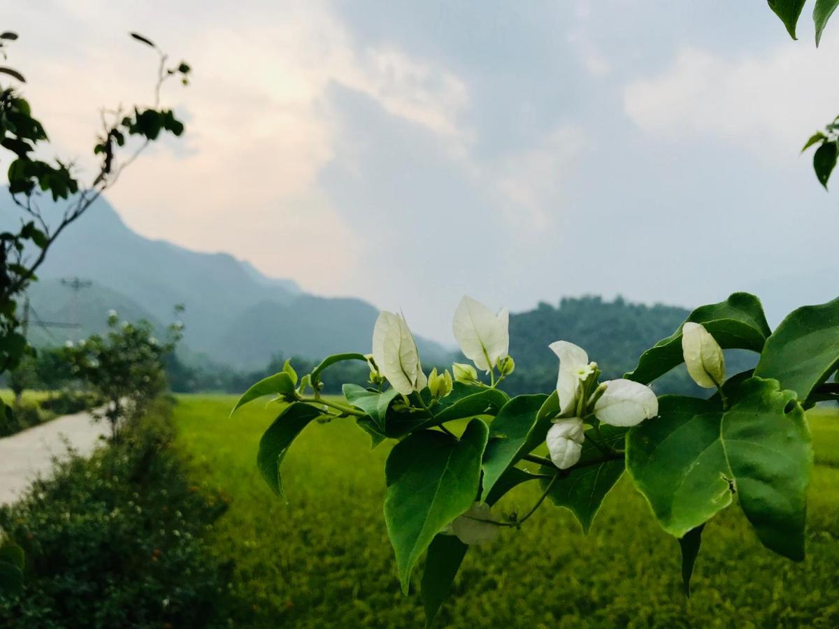 Jomo House Mai Chau Hotel Hòa Bình Екстериор снимка